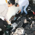 Fire Investigation 3